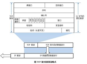 計算機網(wǎng)絡(luò)第三版基礎(chǔ)知識總結(jié)