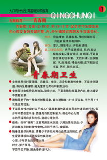 基礎(chǔ)知識,人口與計劃生育
