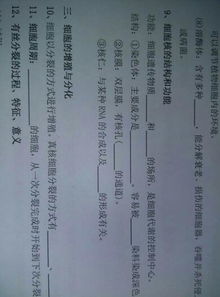 高三生物知識點基礎(chǔ)知識填空