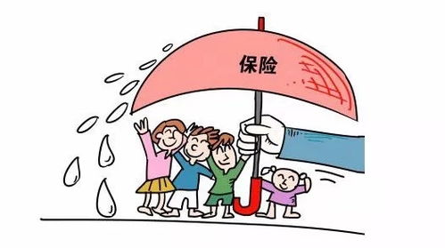 保險(xiǎn)基礎(chǔ)知識(shí)的總結(jié)怎么寫,保險(xiǎn)基礎(chǔ)知識(shí)心得體會(huì)總結(jié),保險(xiǎn)基礎(chǔ)知識(shí)課程總結(jié)