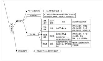 初中生物基礎(chǔ)知識(shí)圖