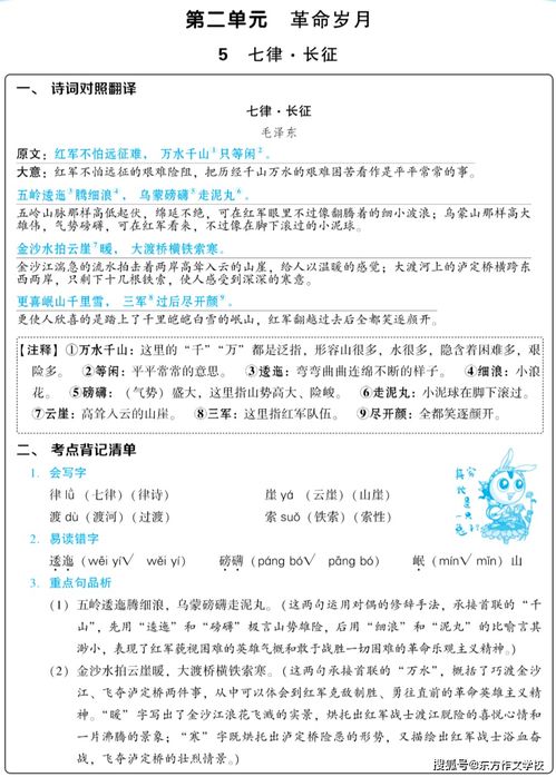 打好,基礎(chǔ)知識(shí),教學(xué)