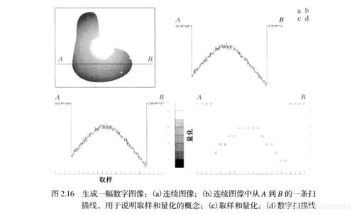 醫(yī)療數(shù)字影像基礎(chǔ)知識