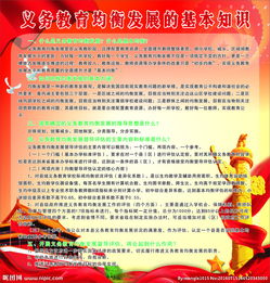 發(fā)展教育的基礎(chǔ)知識
