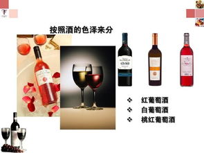 特級葡萄酒基礎(chǔ)知識