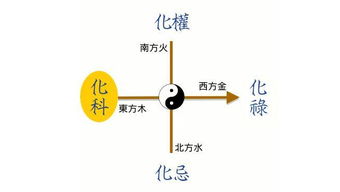 紫微斗數(shù)入門基礎(chǔ)知識(shí)