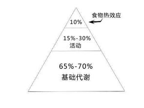 怎樣才能提高基礎(chǔ)知識(shí)