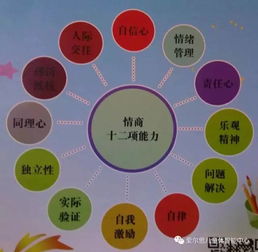 體智能基礎(chǔ)知識(shí)