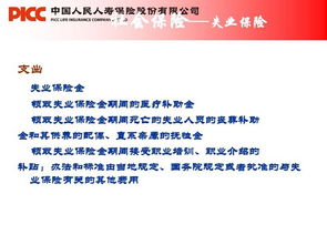 政府購崗社保所公共基礎(chǔ)知識