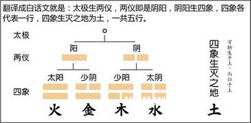 八字基礎(chǔ)知識1.陰陽五行