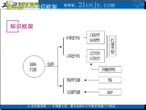 微生物基礎(chǔ)知識筆記,微生物基礎(chǔ)知識試題,微生物檢驗基礎(chǔ)知識