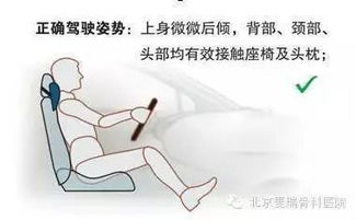 車輛駕駛員職業(yè)健康基礎知識