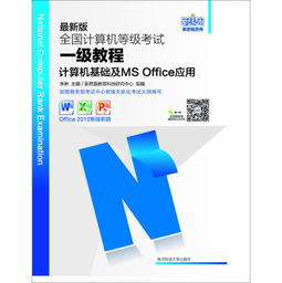基礎(chǔ)知識,msoffice