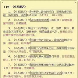 語文基礎(chǔ)知識不扎實要怎么做