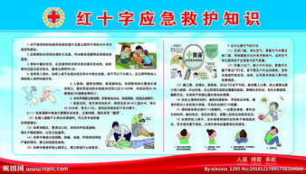 應(yīng)急基礎(chǔ)救護知識