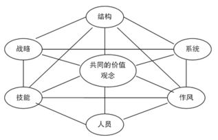 市場(chǎng)營(yíng)銷(xiāo)的基礎(chǔ)理論知識(shí)