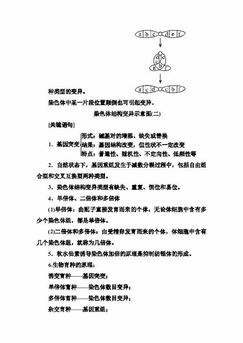 關(guān)于基礎(chǔ)知識的重要性的語句,學(xué)好基礎(chǔ)知識的重要性,基礎(chǔ)知識扎實的重要性