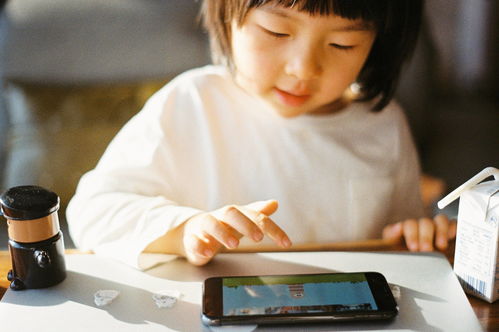 幼兒在編教育基礎(chǔ)知識(shí)