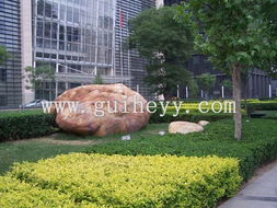 關于種植玉米的基礎知識,農(nóng)業(yè)種植基礎知識,綠化基礎知識試題
