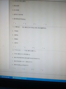 小學計算機基礎知識考試及答案