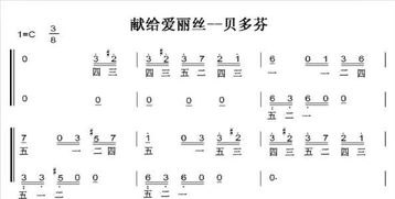 樂(lè)譜基礎(chǔ)知識(shí)大得大得大得
