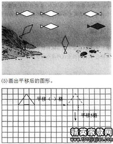 小學(xué)教育基礎(chǔ)知識(shí)高頻簡(jiǎn)答題