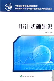 公安審計(jì)基礎(chǔ)知識