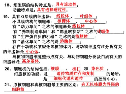 高一生物基礎(chǔ)知識背誦清單