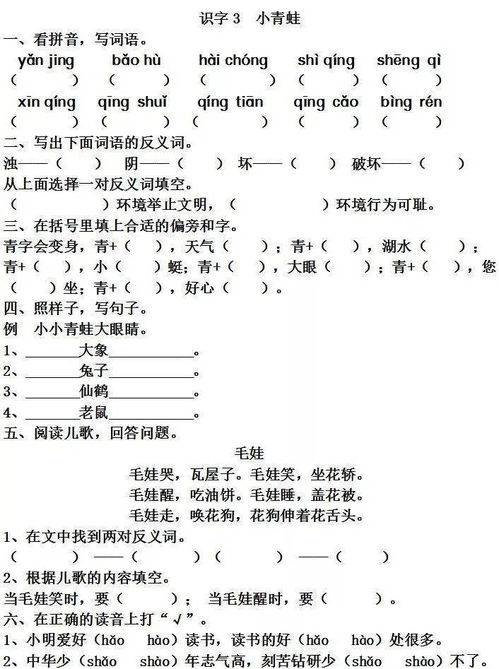 一級小青蛙基礎知識
