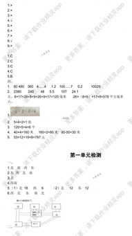 三級(jí)數(shù)學(xué)學(xué)生知識(shí)基礎(chǔ)現(xiàn)狀分析