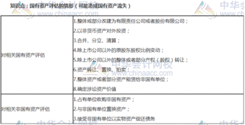 審計(jì)專(zhuān)業(yè)基礎(chǔ)知識(shí)論文