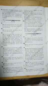 中考語文基礎(chǔ)知識輔導(dǎo)書