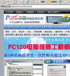 巴迪的基礎(chǔ)知識pc版