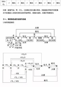 有機化學(xué)基礎(chǔ)知識的重難點