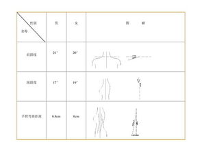 服裝結(jié)構(gòu)設(shè)計基礎(chǔ)基礎(chǔ)知識教案