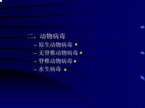 病毒學(xué)基礎(chǔ)知識(shí)講解