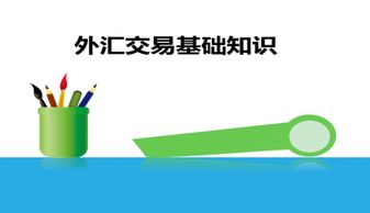 外匯市場(chǎng)基礎(chǔ)知識(shí)PPT