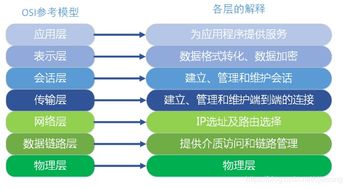 計算機及網(wǎng)絡(luò)基礎(chǔ)知識和應(yīng)用能力,網(wǎng)絡(luò)基礎(chǔ)知識及應(yīng)用,網(wǎng)絡(luò)基礎(chǔ)知識及internet應(yīng)用