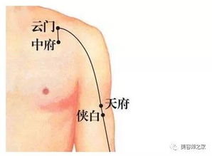 基礎(chǔ)知識,保養(yǎng)