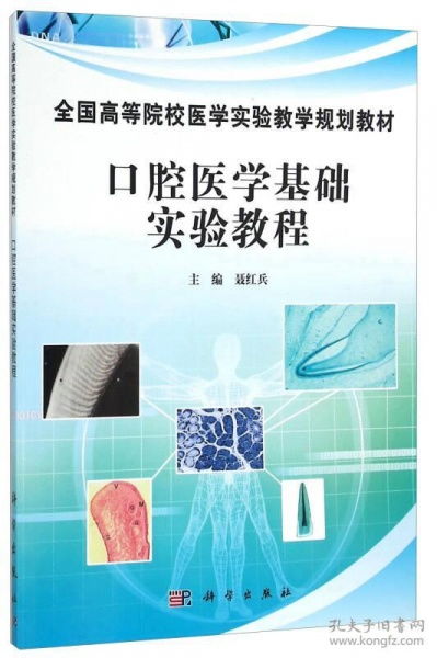 口腔醫(yī)學(xué)基礎(chǔ)知識