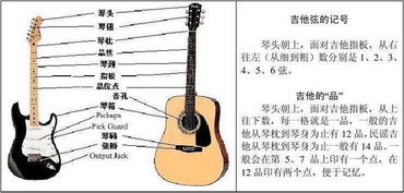 吉他弦基礎(chǔ)知識