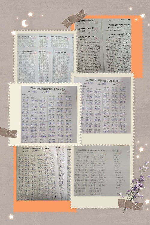 小學(xué)生如何夯實(shí)基礎(chǔ)知識