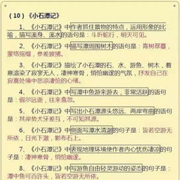 如何整理初中語文基礎(chǔ)知識(shí)