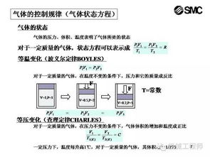科目一基礎(chǔ)知識(shí)理論