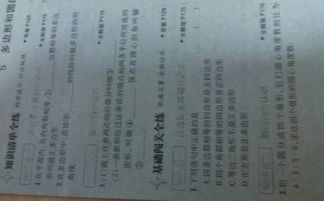 知識清單練基礎過關練是什么書