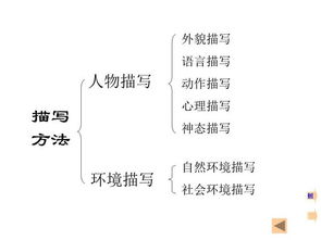 初中語文閱讀與寫作基礎知識
