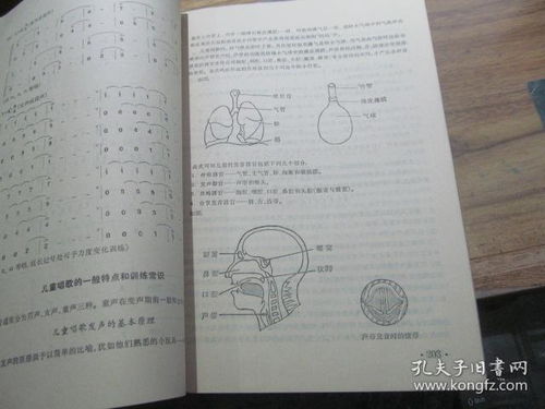 基礎(chǔ)知識(shí),測(cè)試題,音樂(lè)