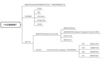 知識點,數(shù)據(jù)庫,基礎
