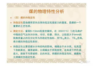 煤質基礎知識幻燈片