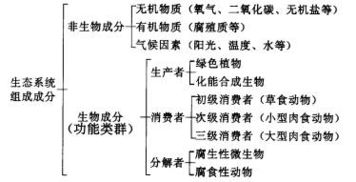 生物系統(tǒng)的營(yíng)養(yǎng)結(jié)構(gòu)基礎(chǔ)知識(shí)
